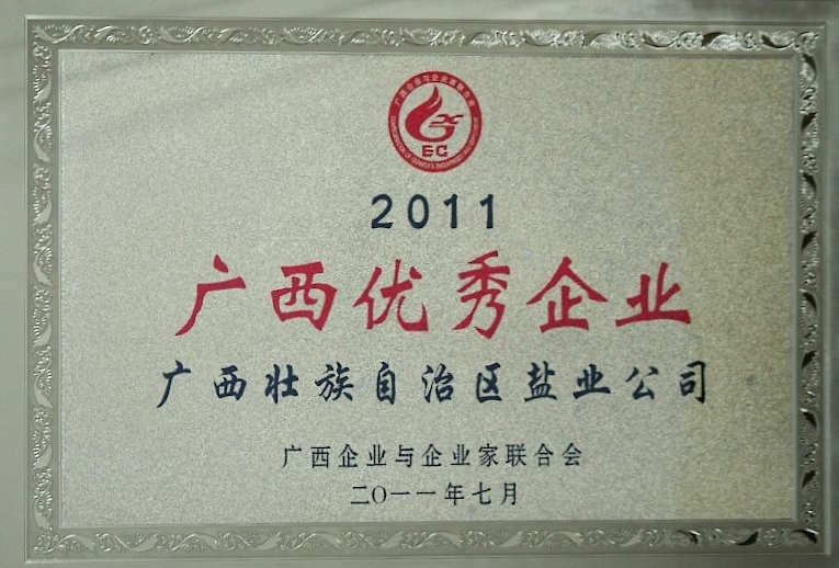 2011廣西優(yōu)秀企業(yè)